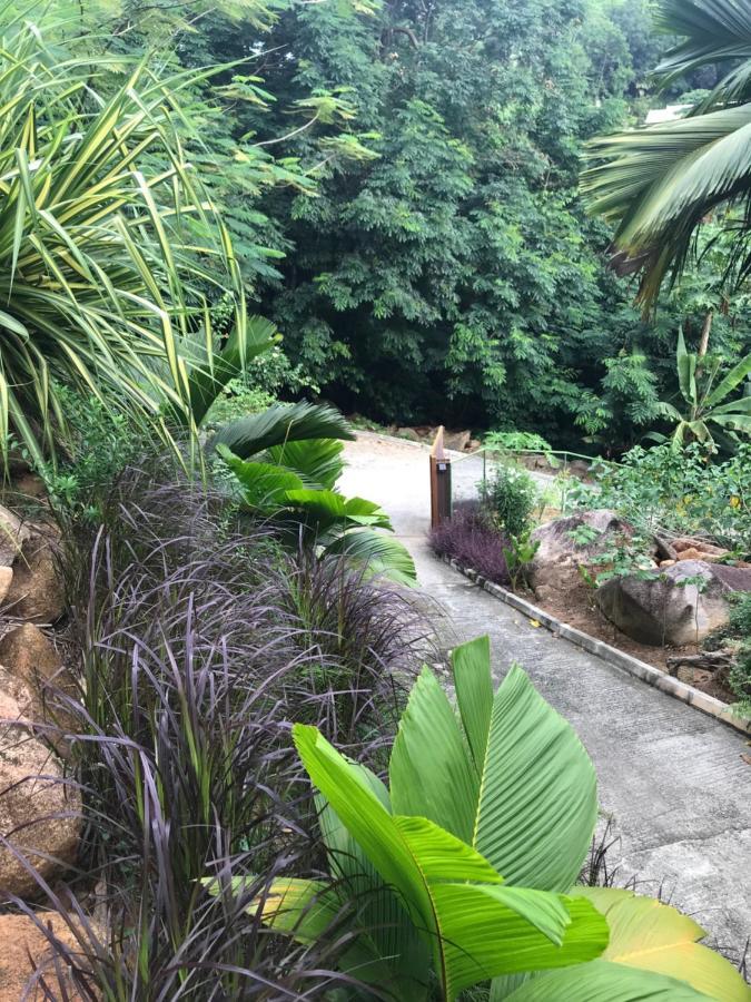 Rock And Palm Lodge Self Catering Appartment Baie Lazare  Ngoại thất bức ảnh